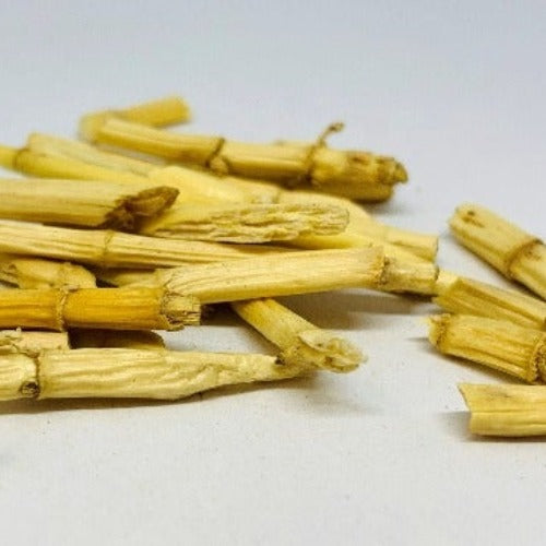 芦根 (Phragmitis Rhizoma)