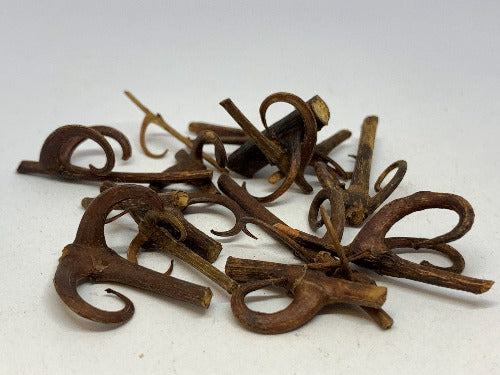 钩藤 (Uncaria tomentosa)