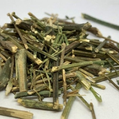 穿心莲 Herba Andrographitis