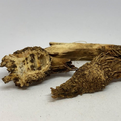 前胡 (Peucedanum praeruptorum)
