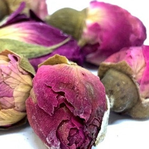 玫瑰花 (Rosa ssp)