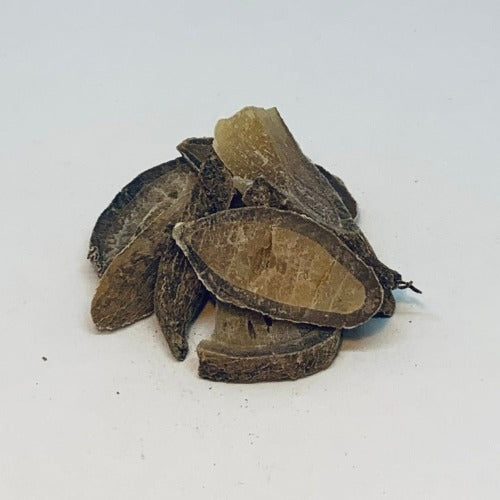 郁金 (Curcuma rcenyujin)