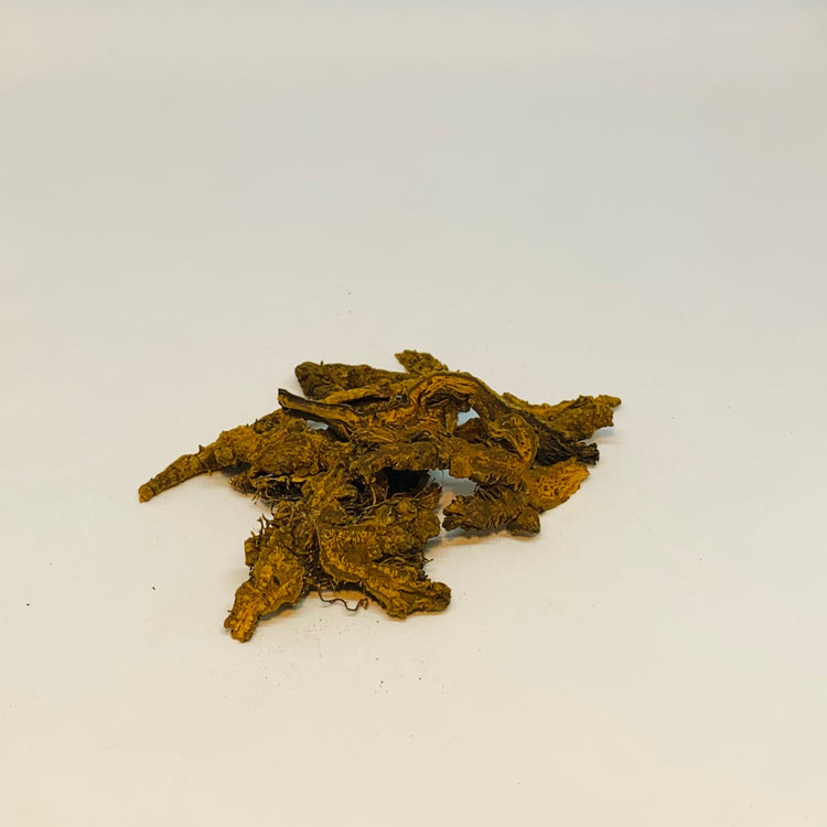 黄连 (Coptis chinensis)