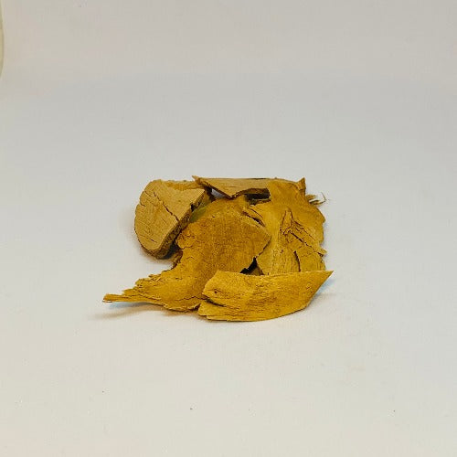 乌药 (Lindera aggregata; Combined Spicebush Root.)