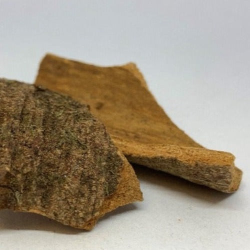 肉桂 (Cinnamon)