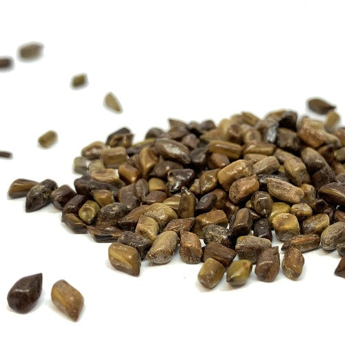 决明子 (Senna tora;Cassia Seed)