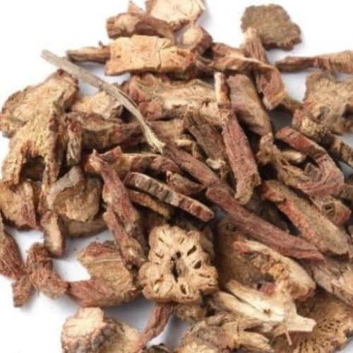 丹参 (Salvia miltiorrhiza)