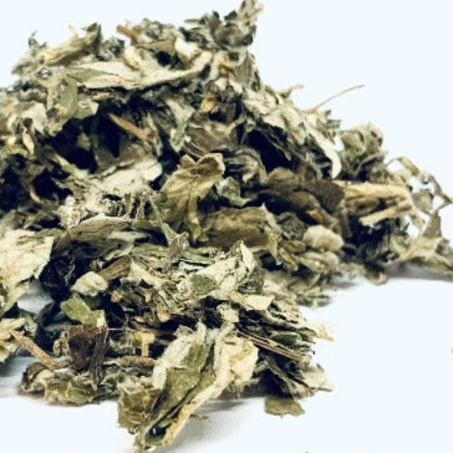 艾叶 Argy Wormwood Leaf
