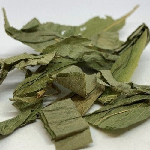 淡竹叶 (Lophatherum gracile Brongn)