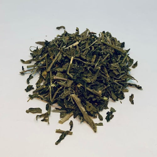 透骨草 (Phryma leptostachya subsp.)