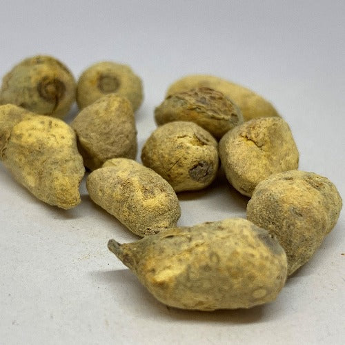 法半夏 (Processed Pinellia ternata)