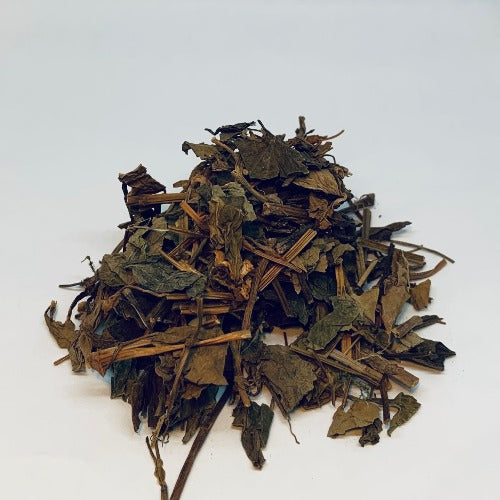 鱼腥草 (Houttuynia cordata Thunb.)