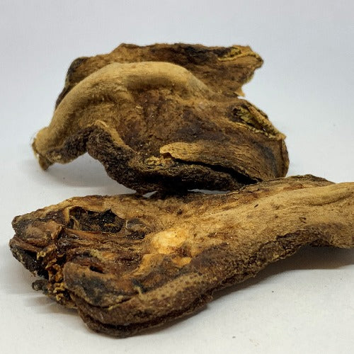 佛手 (Citrus medica var. sarcodactylis)