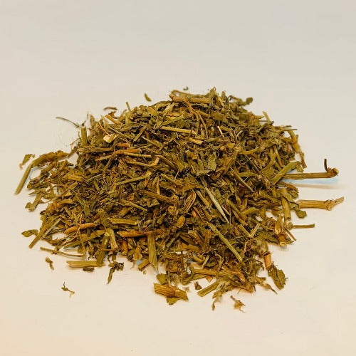 扁蓄 (Polygonum aviculare)