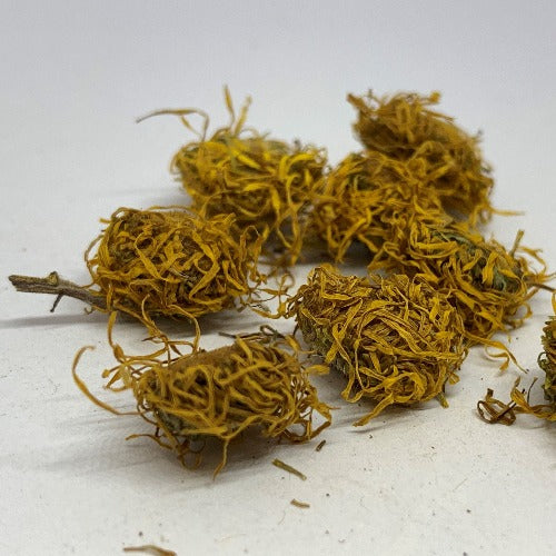 旋覆花 (Inula japonica)