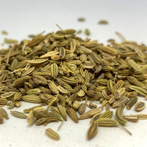 小茴香 (Foeniculum vulgare)
