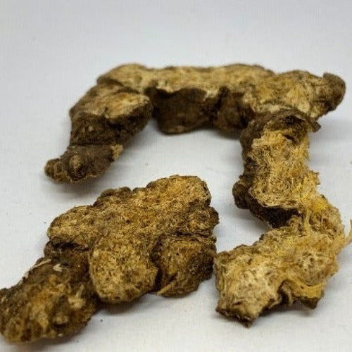 羌活 (Notopterygium incisum)