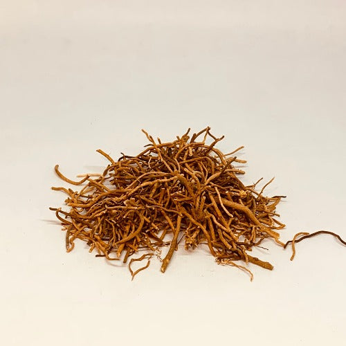 徐长卿 (Cynanchum paniculatum)