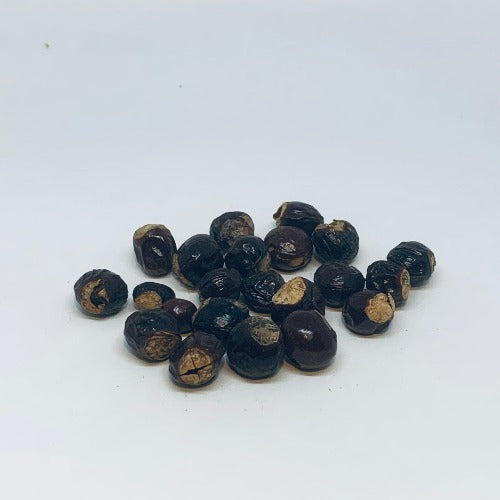 龙眼核 (Sapindaceae seed)