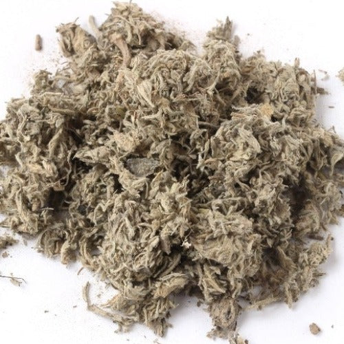 茵陈 (Herba Artemisiae Scopariae)