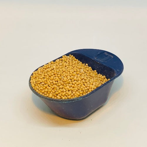 白芥子 White Mustard Seed