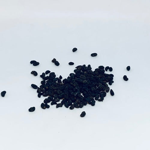 女贞子 (Ligustrum lucidum Ait.)