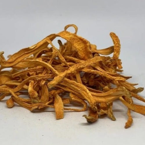 虫草花 (Cordyceps militaris)