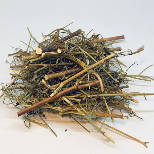 胡荽 (Coriander)