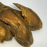 大黄 ( Rhubarb root and rhizome)