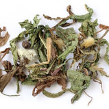 蒲公英 (Taraxacum)