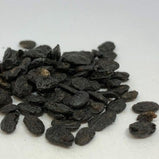 淡豆豉 (Glycinemax Merr.)