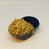 麦芽 (Hordei Fructus Germinatus )
