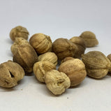 白豆蔻 Fructus Amomi Rotundus