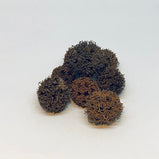 路路通 (Liquidamibris Fructus)
