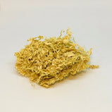 竹茹 (Bambusae Caulis in Taeniam)