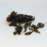 海藻 (sargassum)