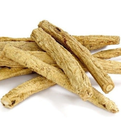 党参一级 (Codonopsis pilosula)