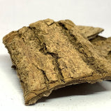 杜仲 (Eucommia ulmoides)