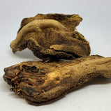 佛手 (Citrus medica var. sarcodactylis)