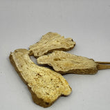 白术 Rhizoma Atractylodis Macrocephalae