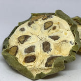 全瓜蒌 (Trichosanthes kirilowii)