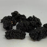桑葚子 (Morus alba L. ,mulberry)