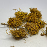 旋覆花 (Inula japonica)