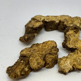 苍术 Rhizoma Atractylodis Lanceae
