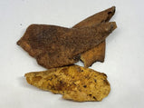 陈皮 Pericarpium Citri Reticulatae