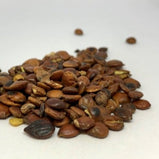 酸枣仁 (Ziziphi Spinosae Semen)
