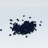 女贞子 (Ligustrum lucidum Ait.)