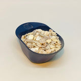 珍珠母 (Margaritifera Concha.)