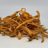 虫草花 (Cordyceps militaris)